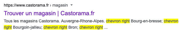 Screenshot of a search result showing the title and description from the Castorama "Find a store" page. The title provided is just "Trouver un magasin - Castorama". The description is "Tous les magasins Castorama. Auvergne-Rhone-Alpes. chevron right Bourg-en-bresse; chevron right Bourgoin-jallieu; chevron right Bron; chevron right ..."